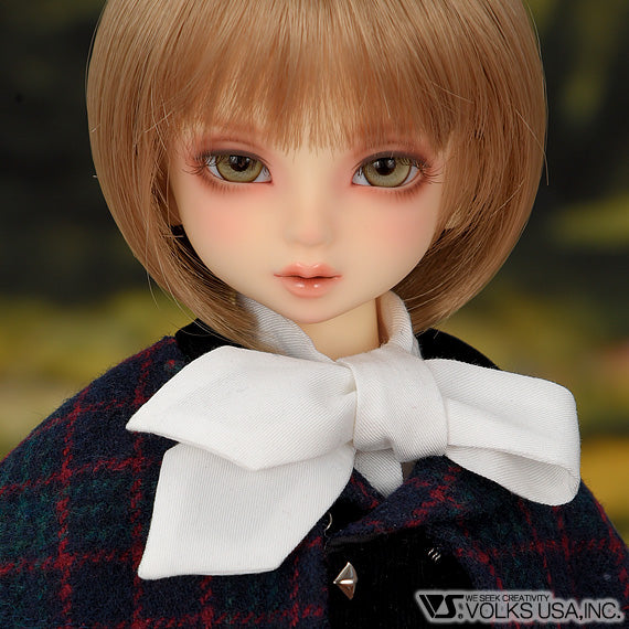 Tartan Pants Style / Mini