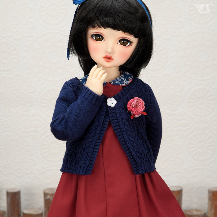 Dark Red Dress Set / Mini