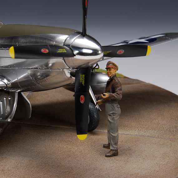 1/32 P-51D Battlefield Artist