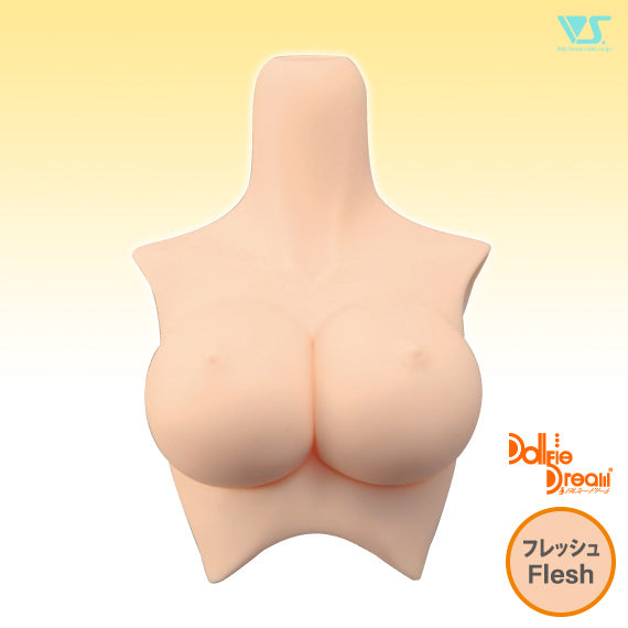 DD Bust