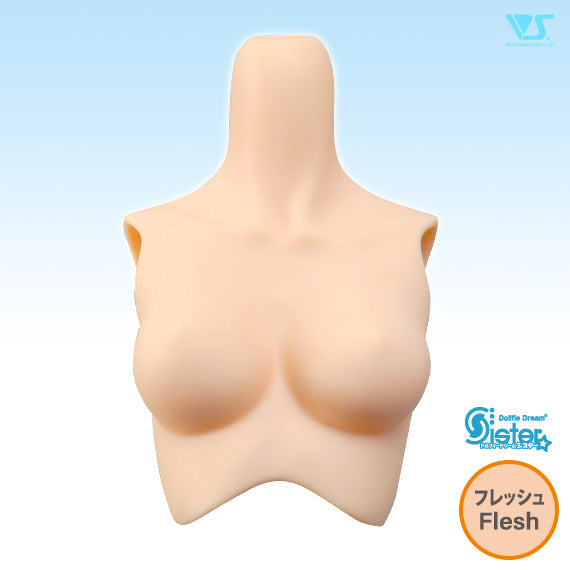 DDS Bust