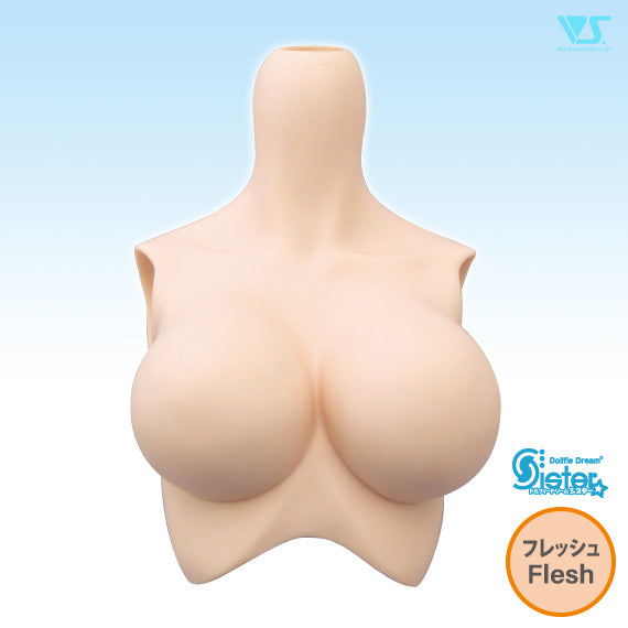 DDS Bust