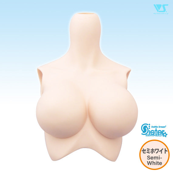 DDS Bust