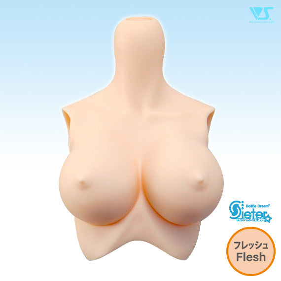 DDS Bust