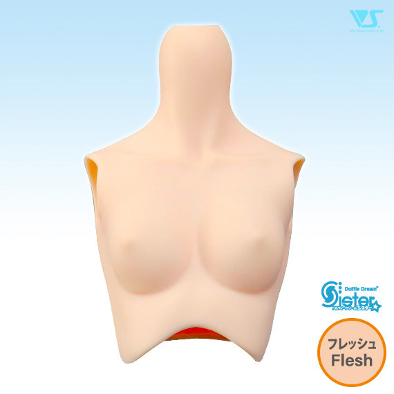 DDS Bust