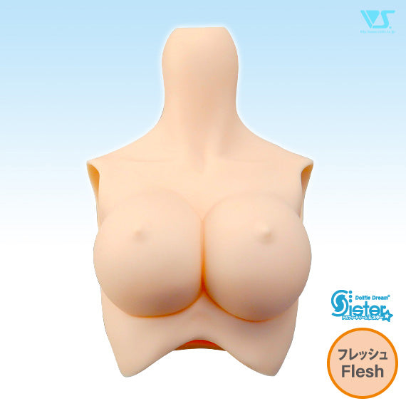 DDS Bust