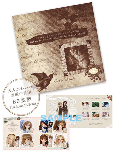 Intro to the World of Super Dollfie