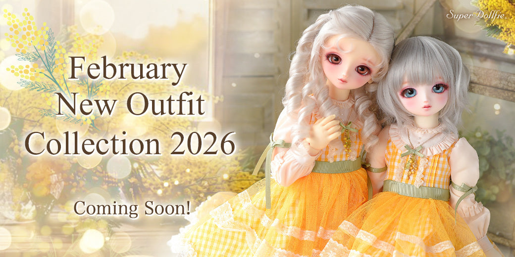 February New Outfit Collection 2026