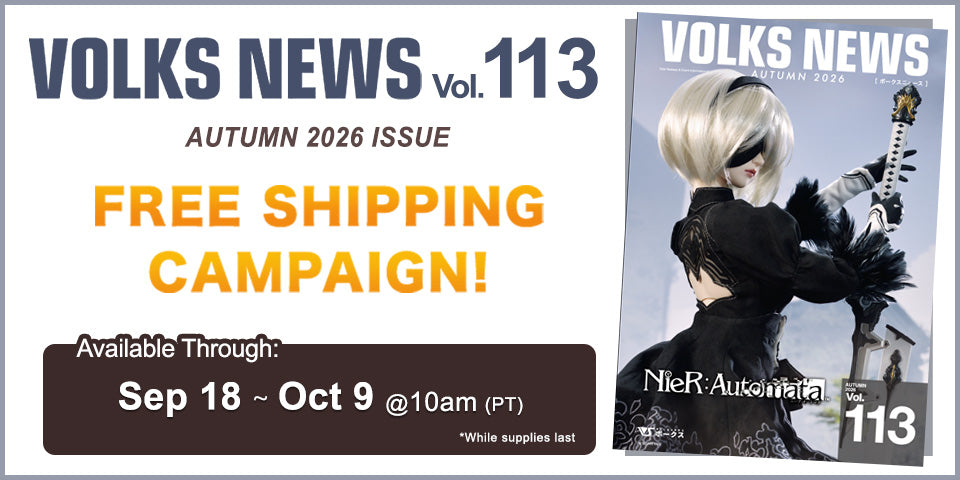 VOLKS NEWS 113