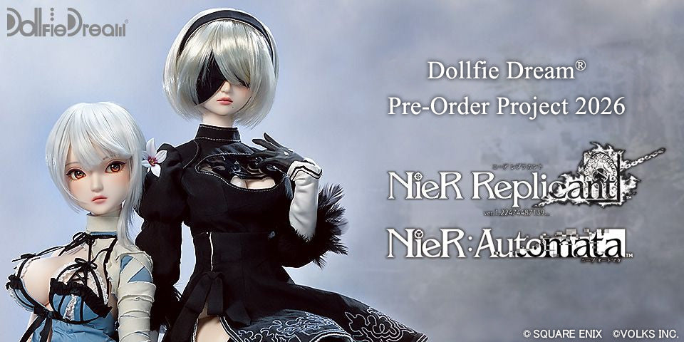 DD Pre-order Project
