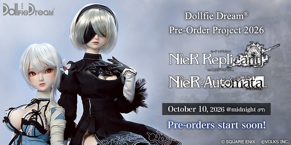 DD Pre-order Project