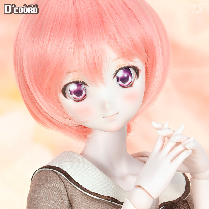 D'COORD DDS DDH-06