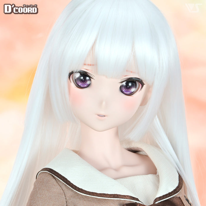 D'COORD DDS DDH-24