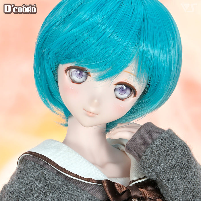 D'COORD DD DDH-11