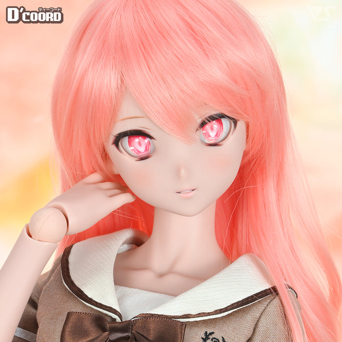 D'COORD DD DDH-24