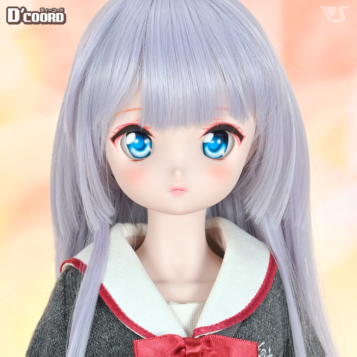 D'COORD MDD DDH-21