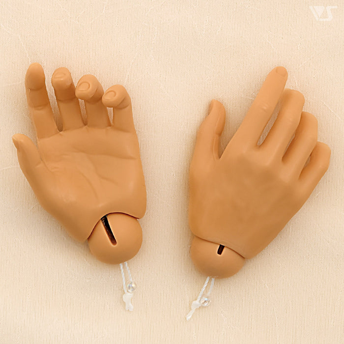 SD17 Boy Regulus Owner's Limited Option Parts