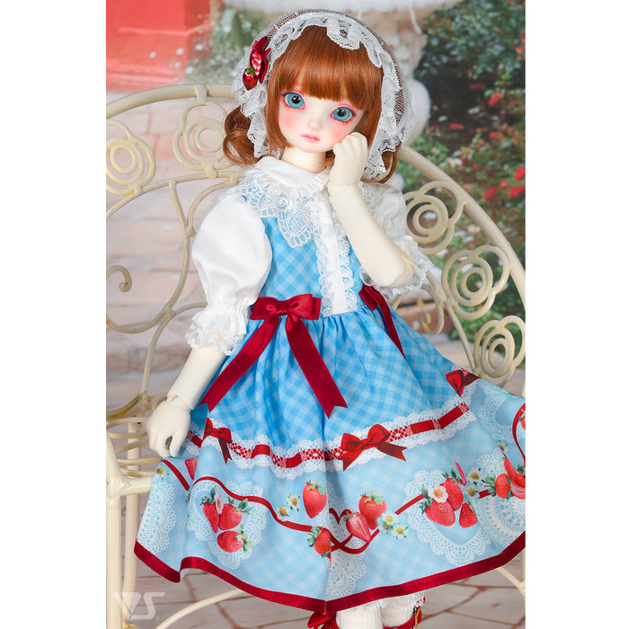 Strawberry Dress Set / Mini