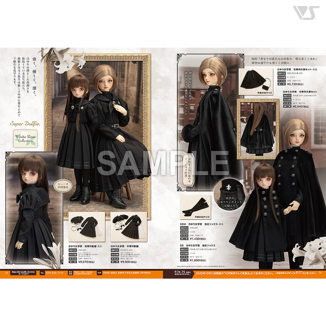 VOLKS USA, INC.