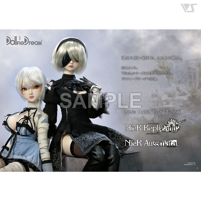 Volks News 113