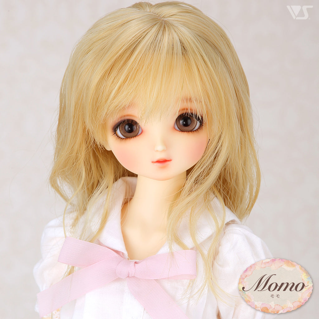 SD Standard Models — VOLKS USA, INC.