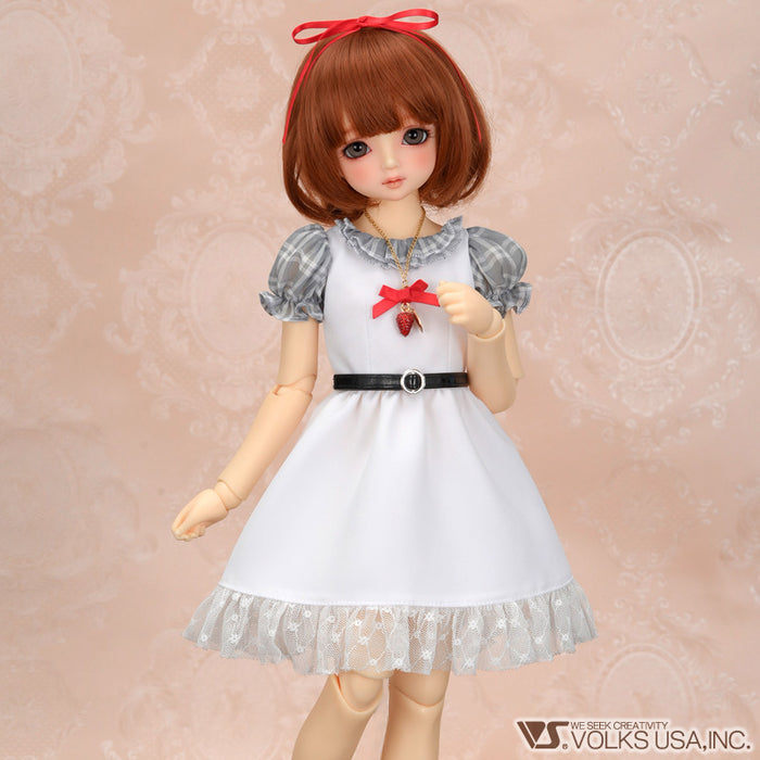 Berry Charlotte Dress / Mini