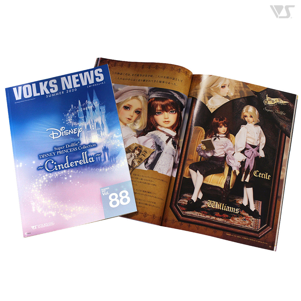 VOLKS NEWS — VOLKS USA, INC.