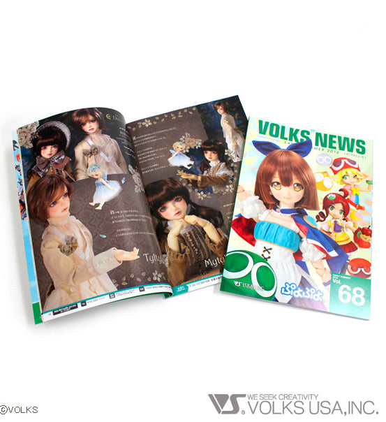 Books — VOLKS USA, INC.
